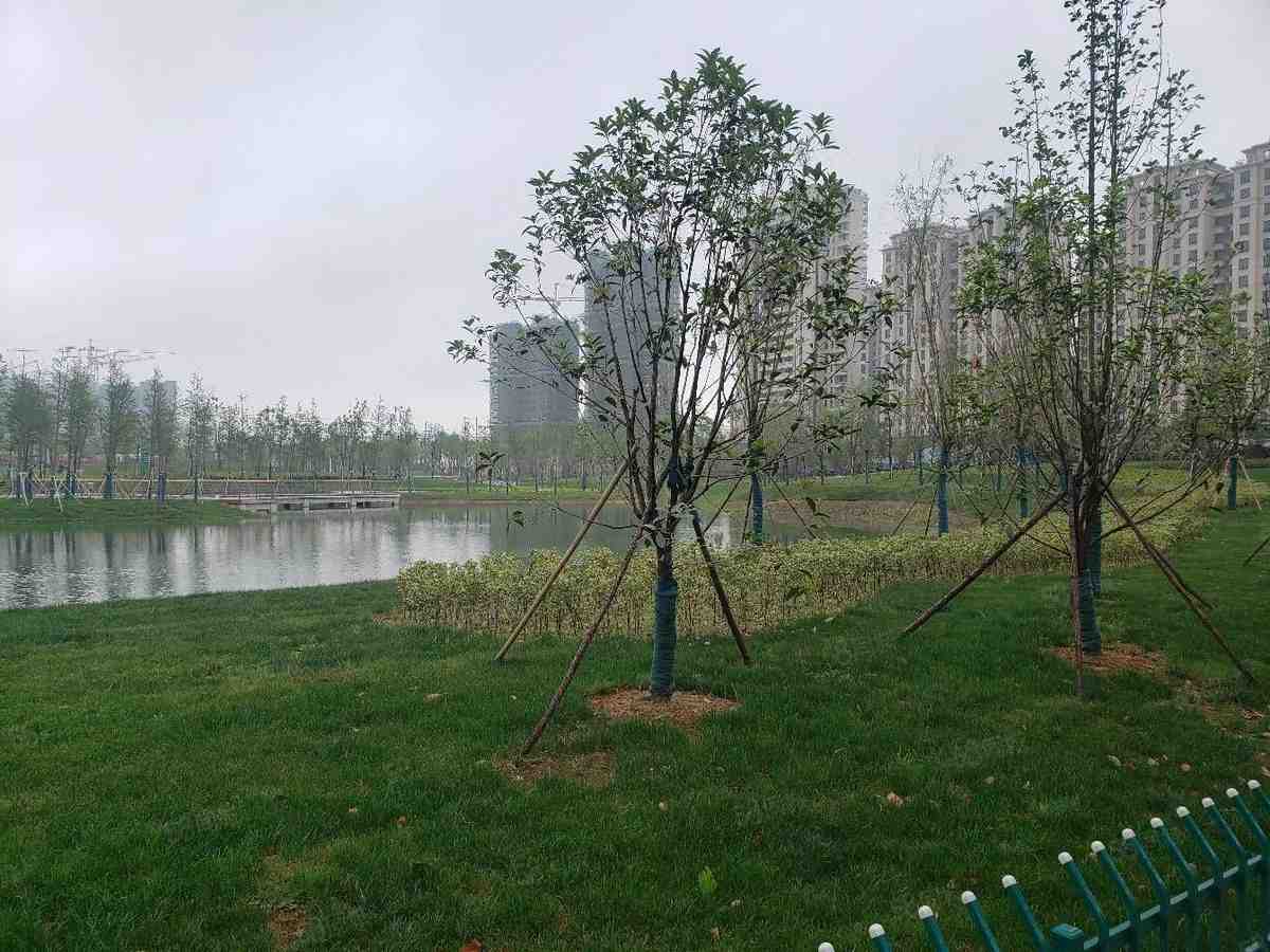 厂房实景
