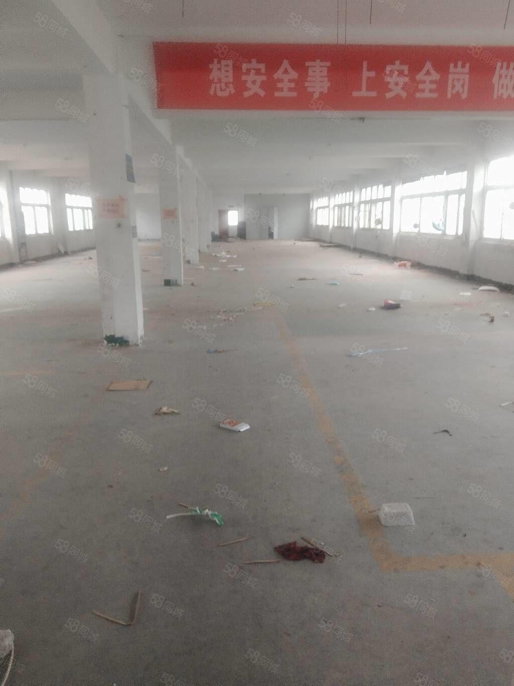 厂房实景