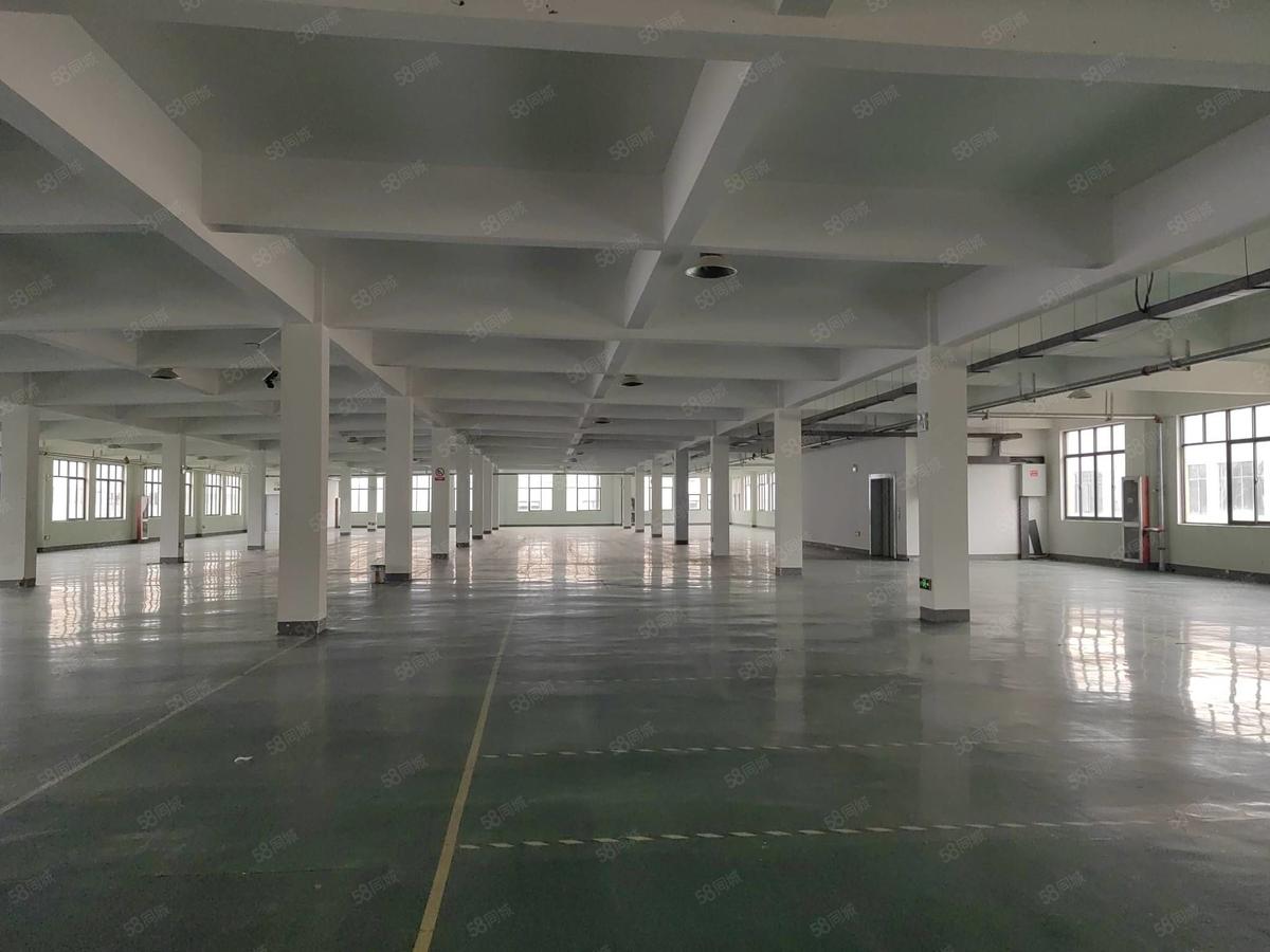 厂房实景