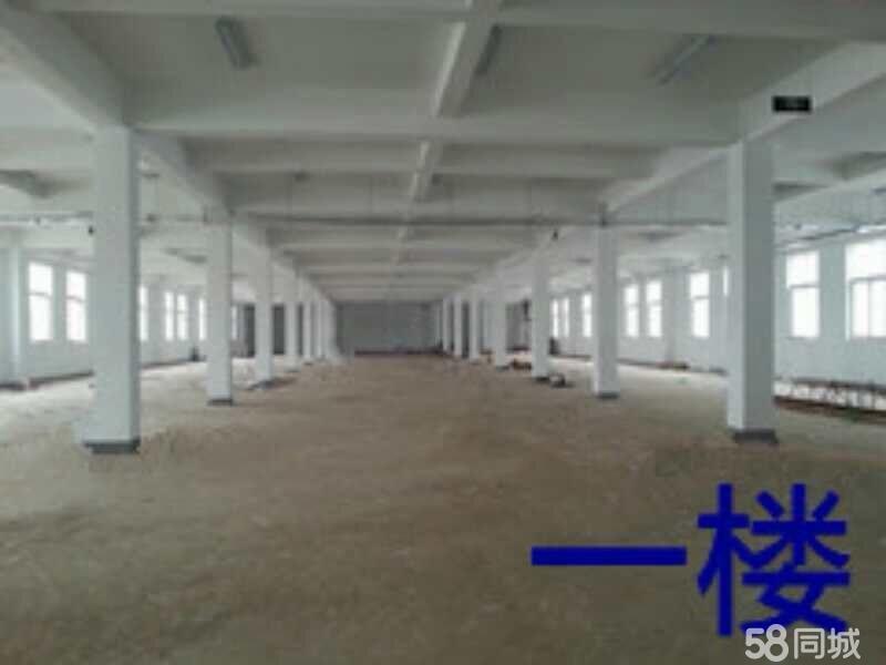 厂房实景