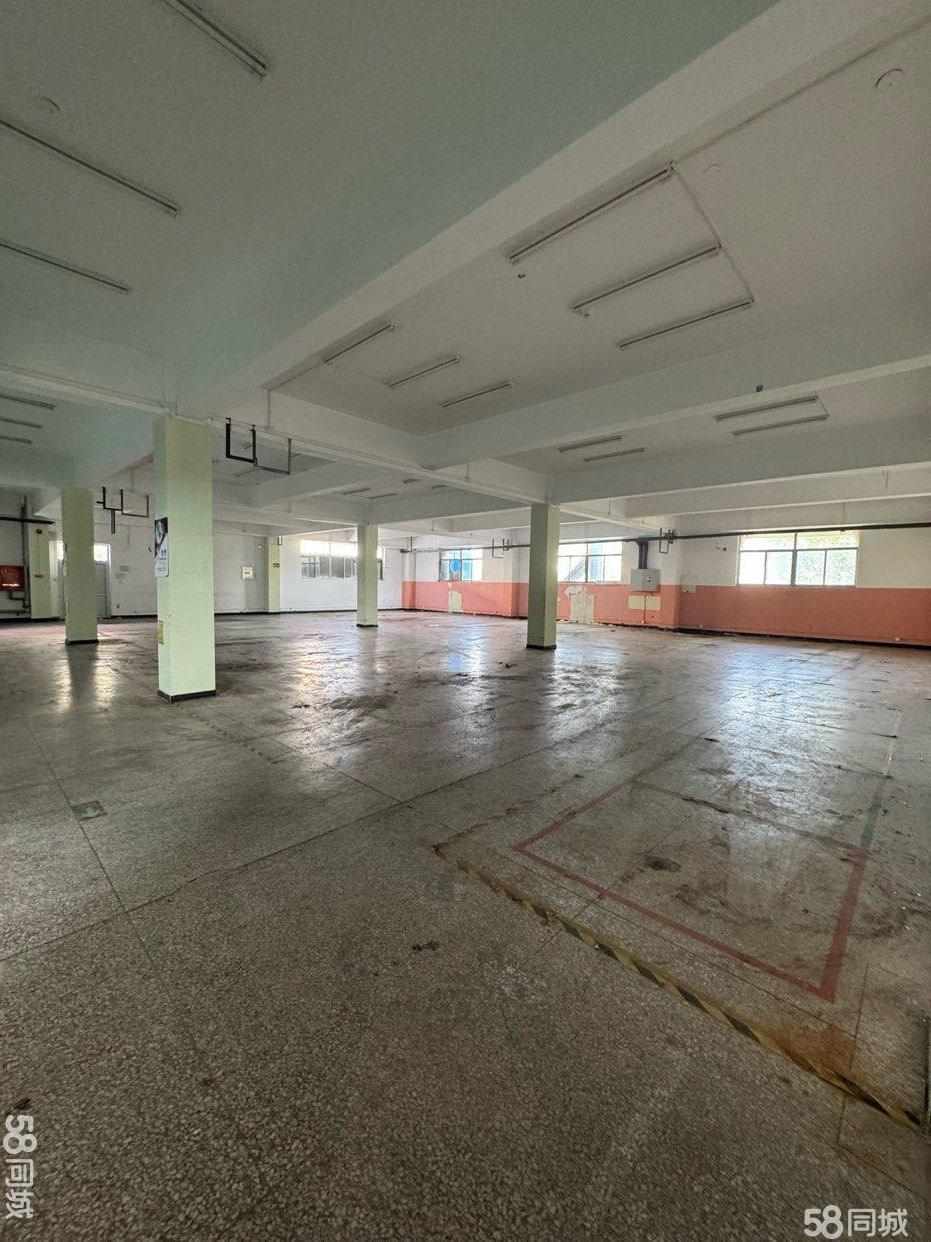 厂房实景