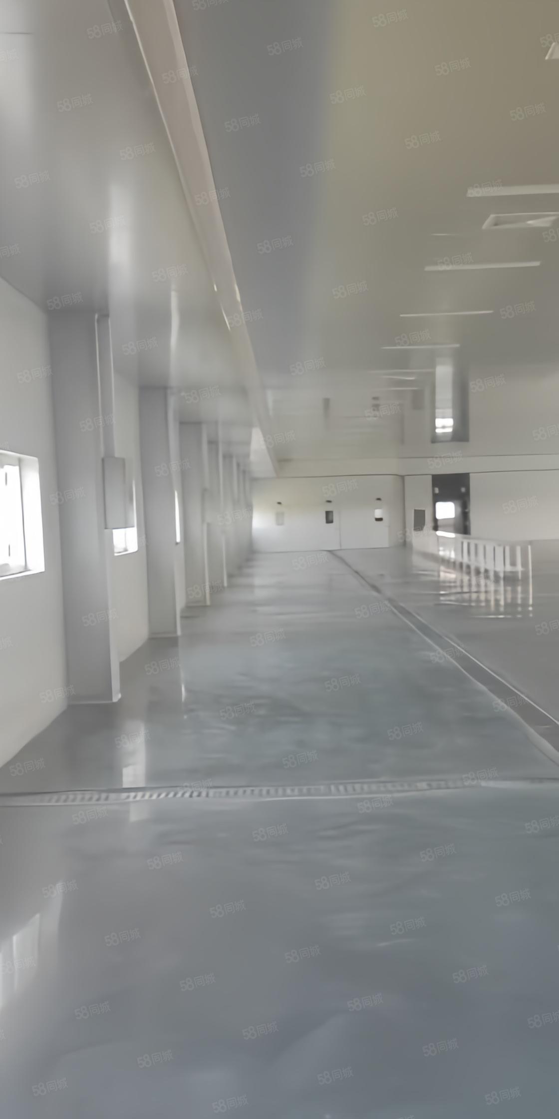 厂房实景
