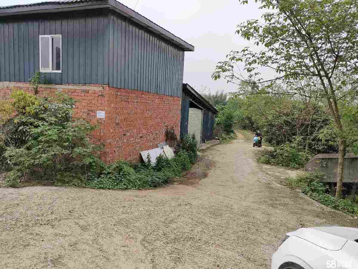 【推荐】成都大面洪河堰自建库房直租｜独门独院、大车直达300平厂房出租单层