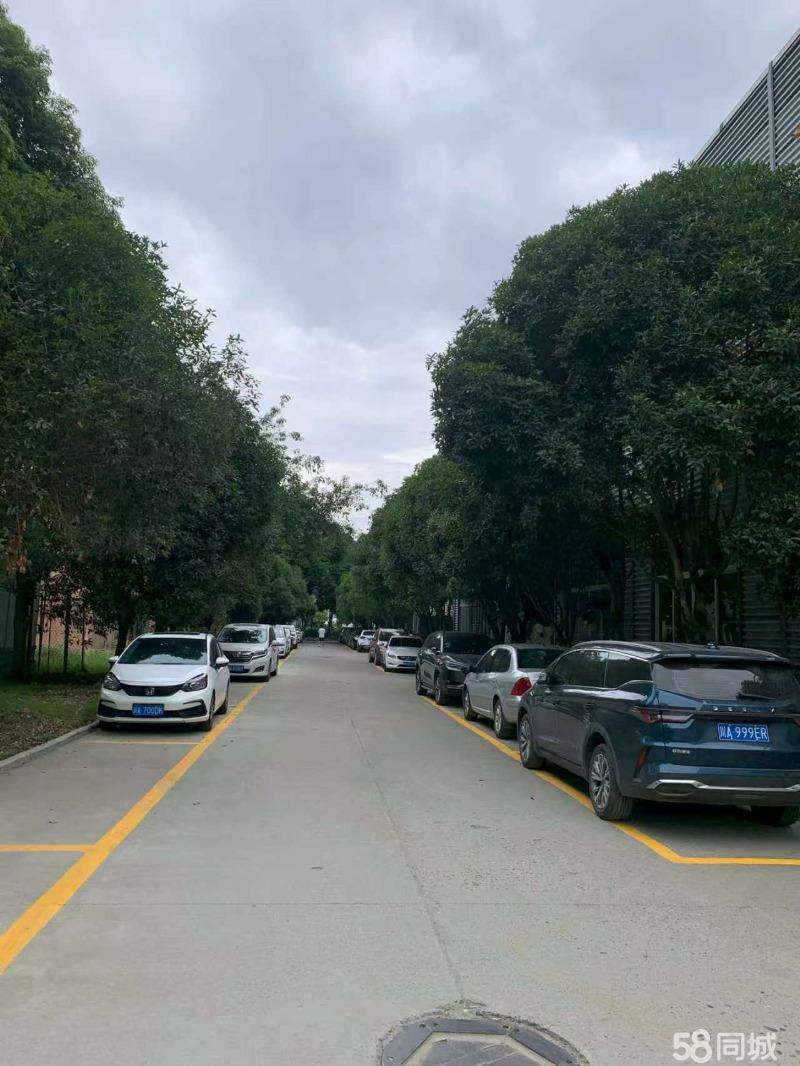 厂房实景