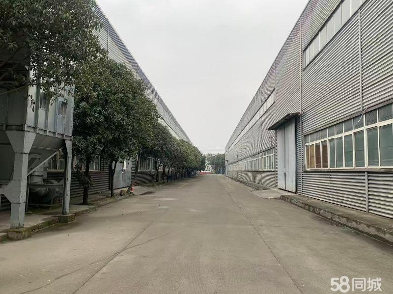 厂房实景