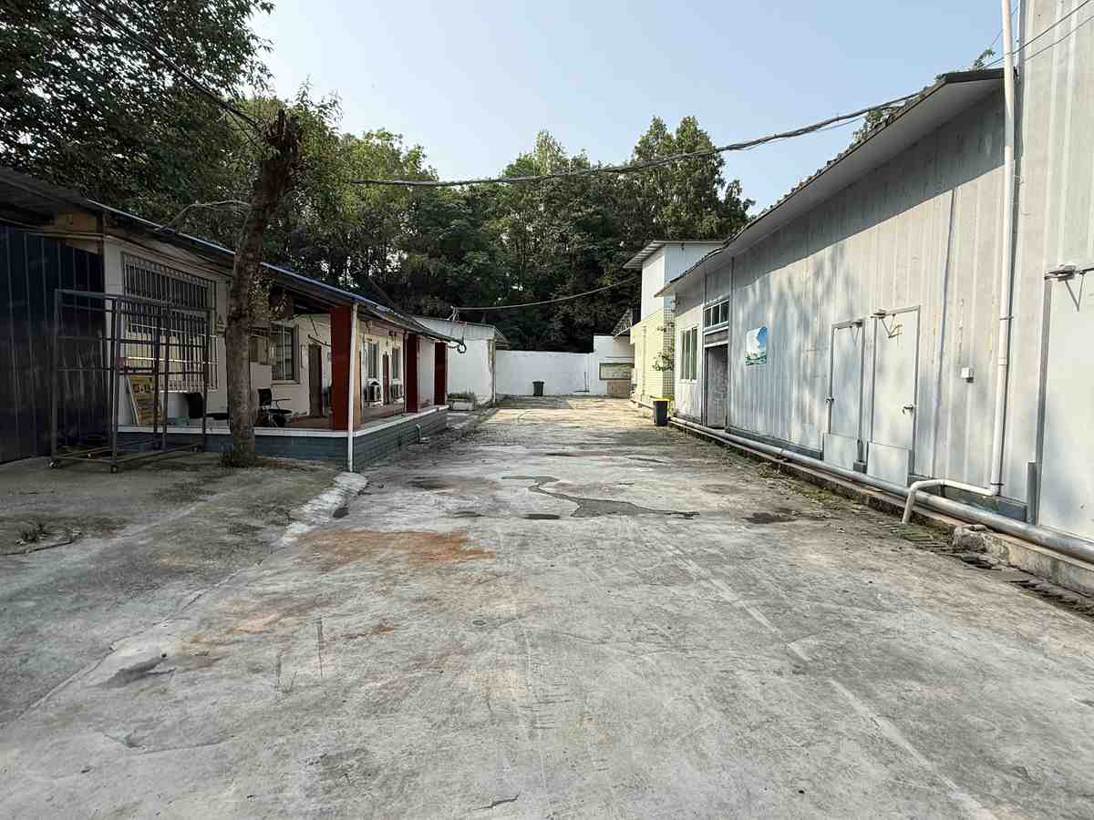 厂房实景