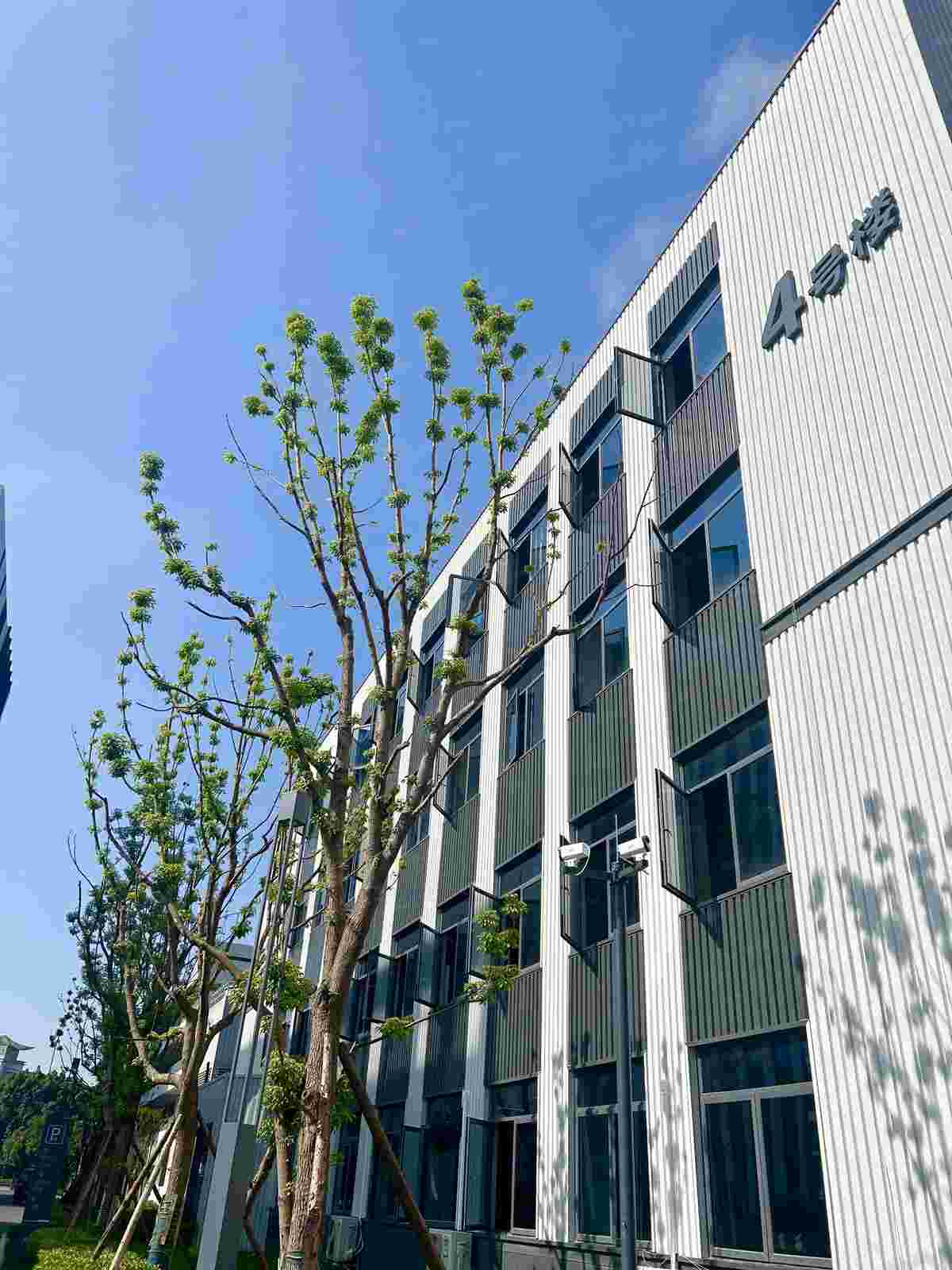 厂房实景