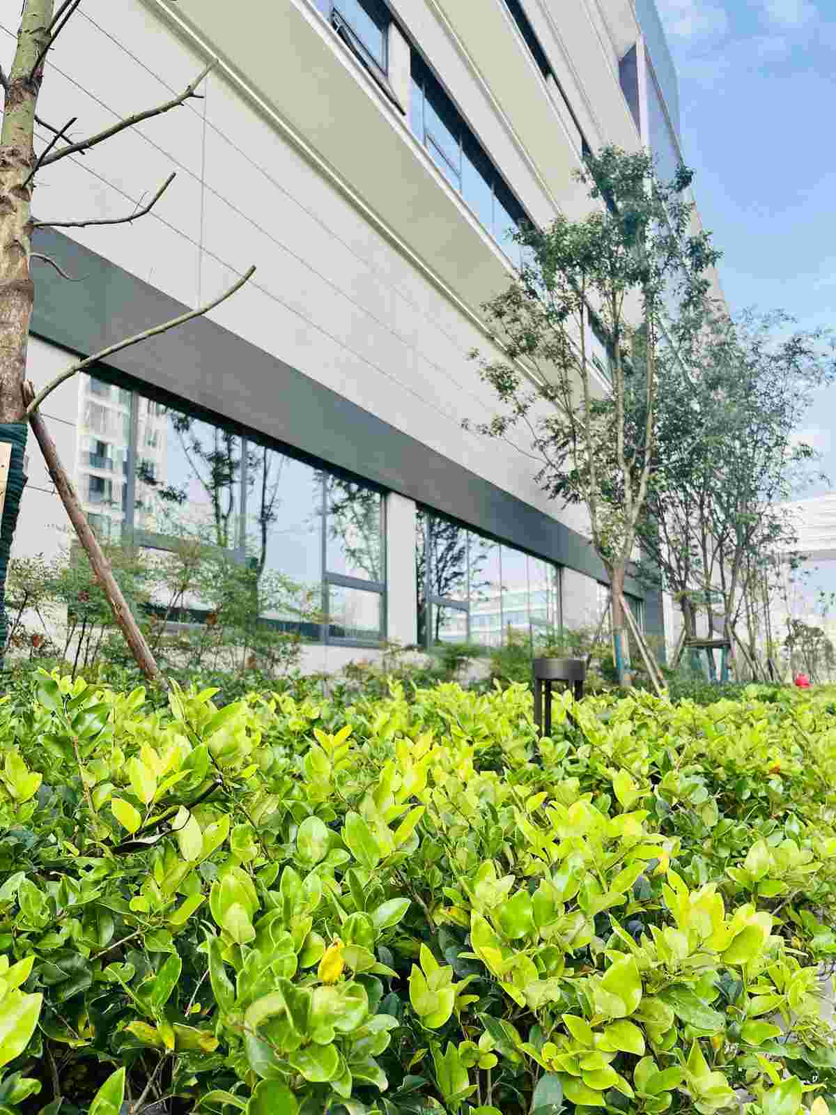 厂房实景