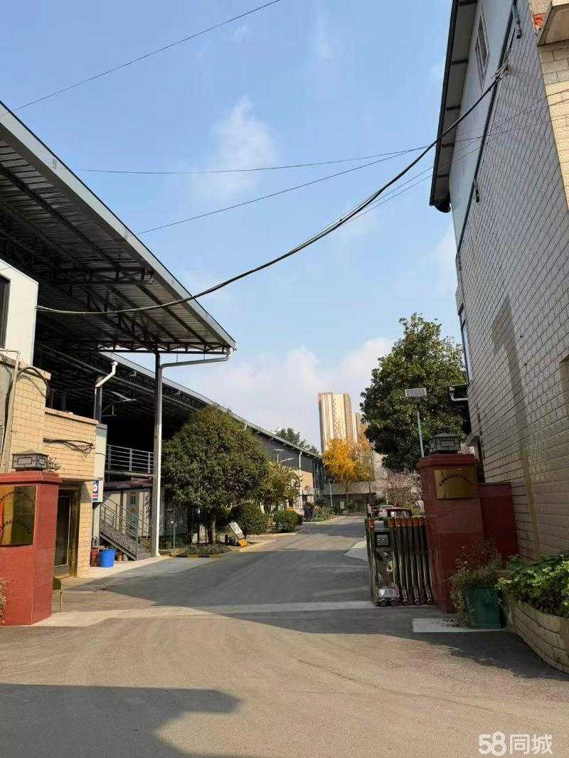 厂房实景