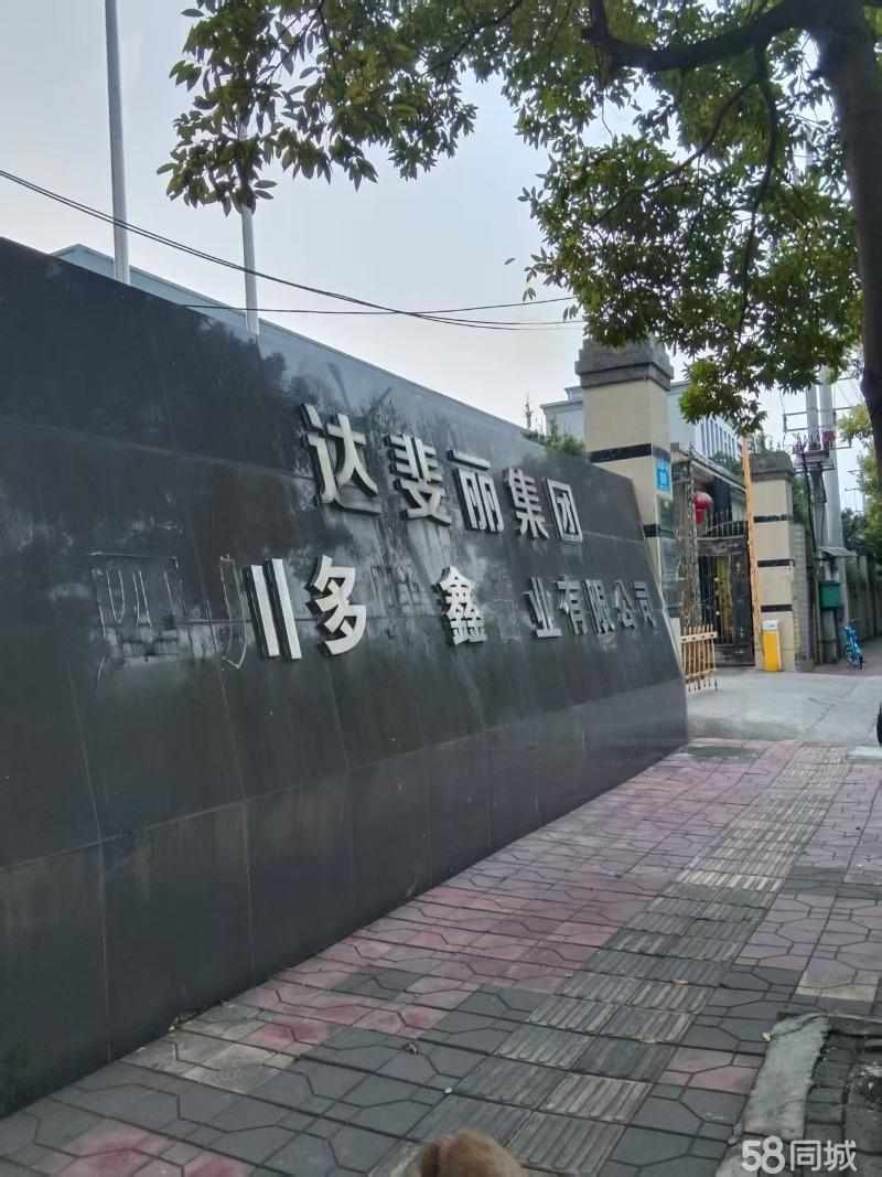 厂房实景