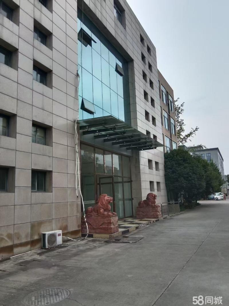 厂房实景