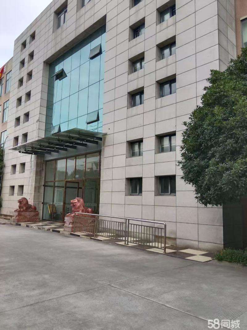 厂房实景