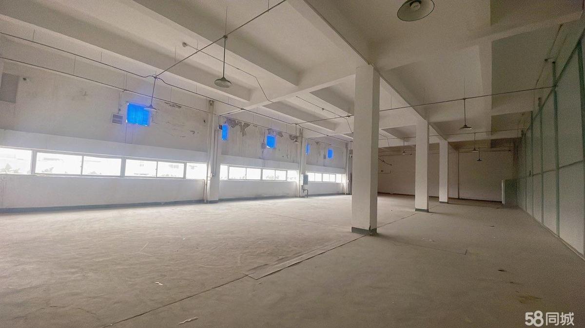 成都科园南路  可整租可分租高新区肖家河厂房仓库1000平厂房出租多层轨交
