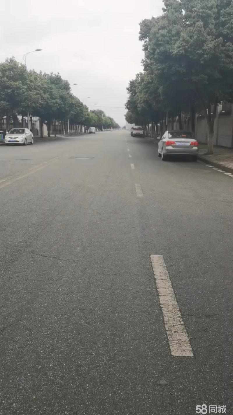 【优质】成都钢结构厂房制造区 有电力变压器可进大货车独栋5000平厂房出租独门独院标准厂房