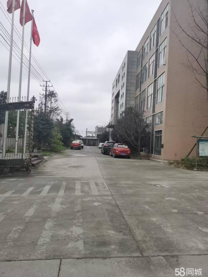 厂房实景