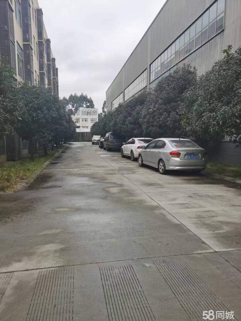 厂房实景