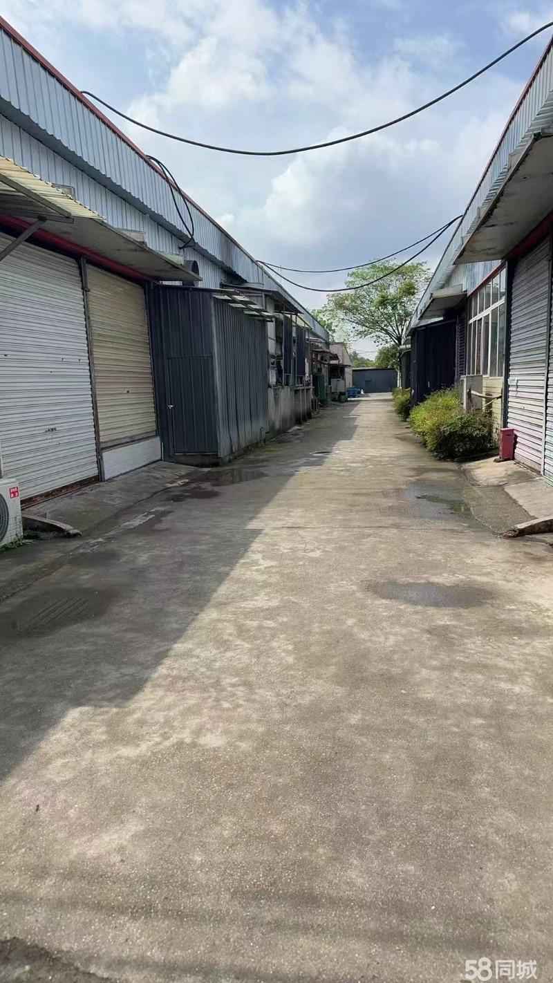 厂房实景