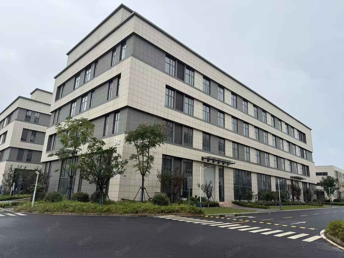 厂房实景