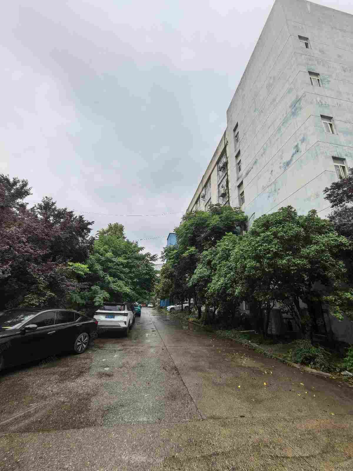 厂房实景