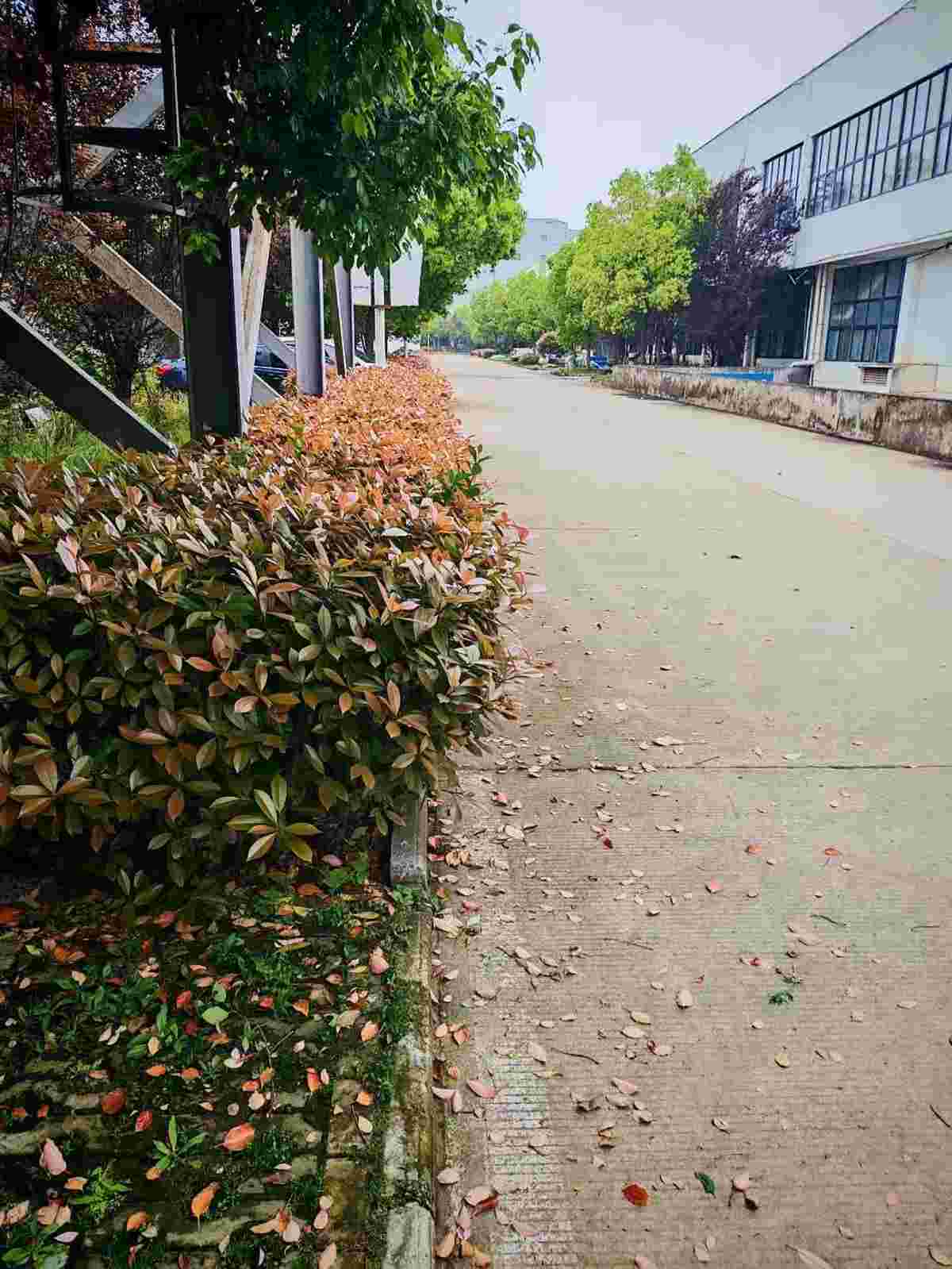 厂房实景