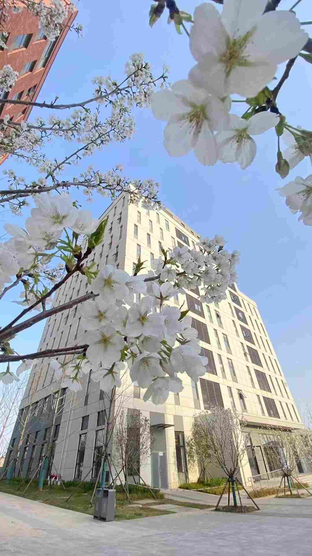 厂房实景