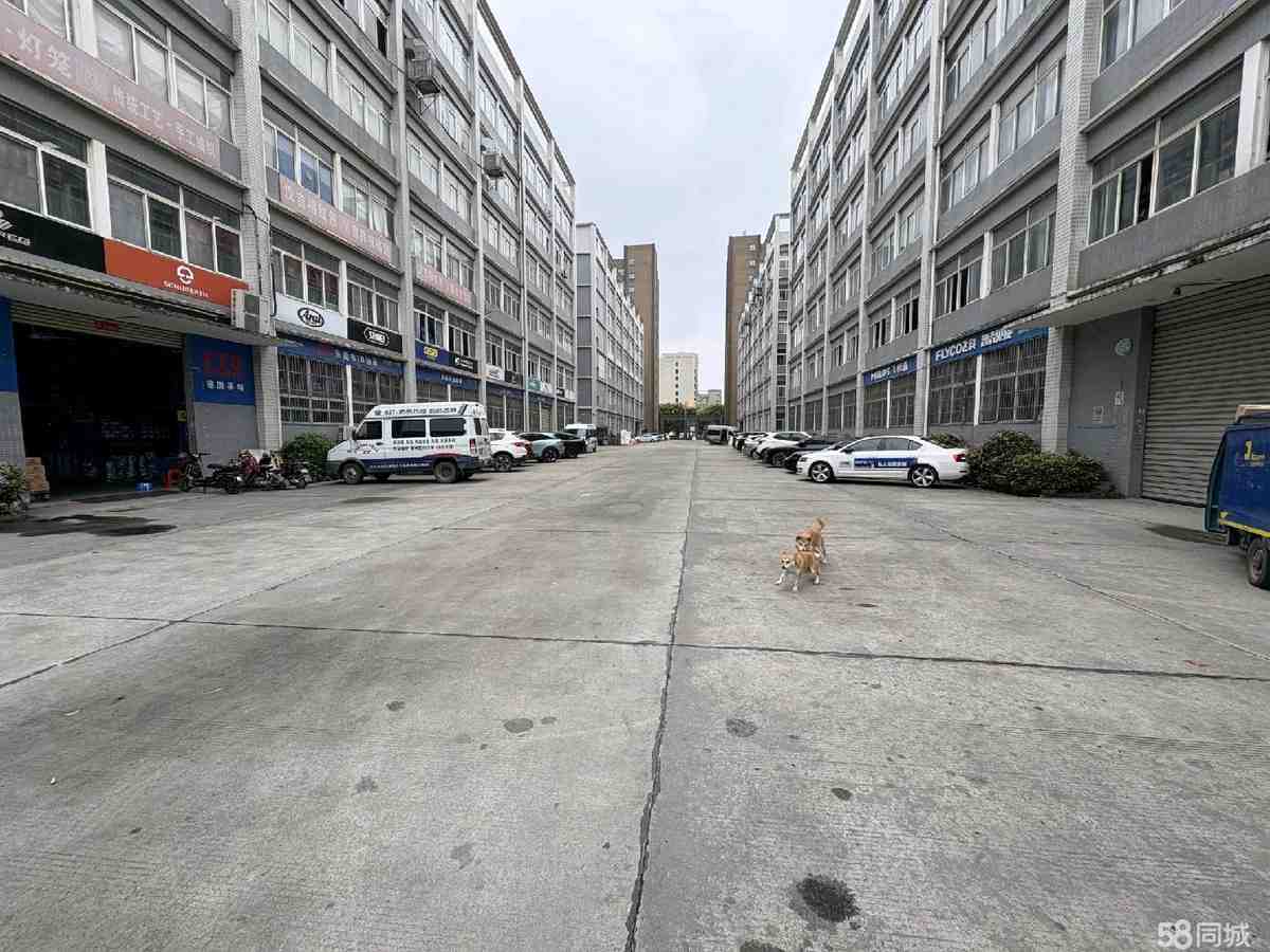 厂房实景