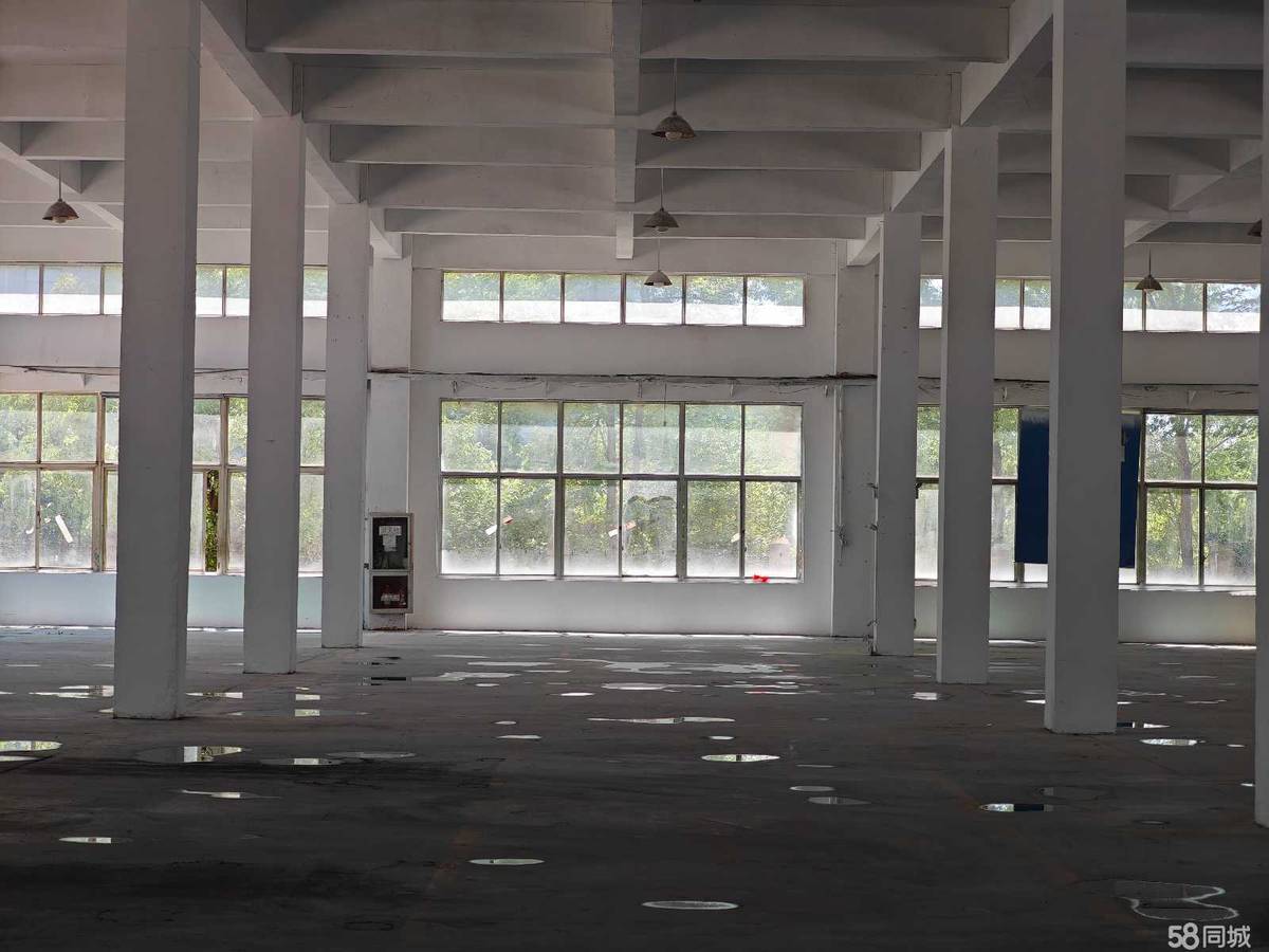 厂房实景