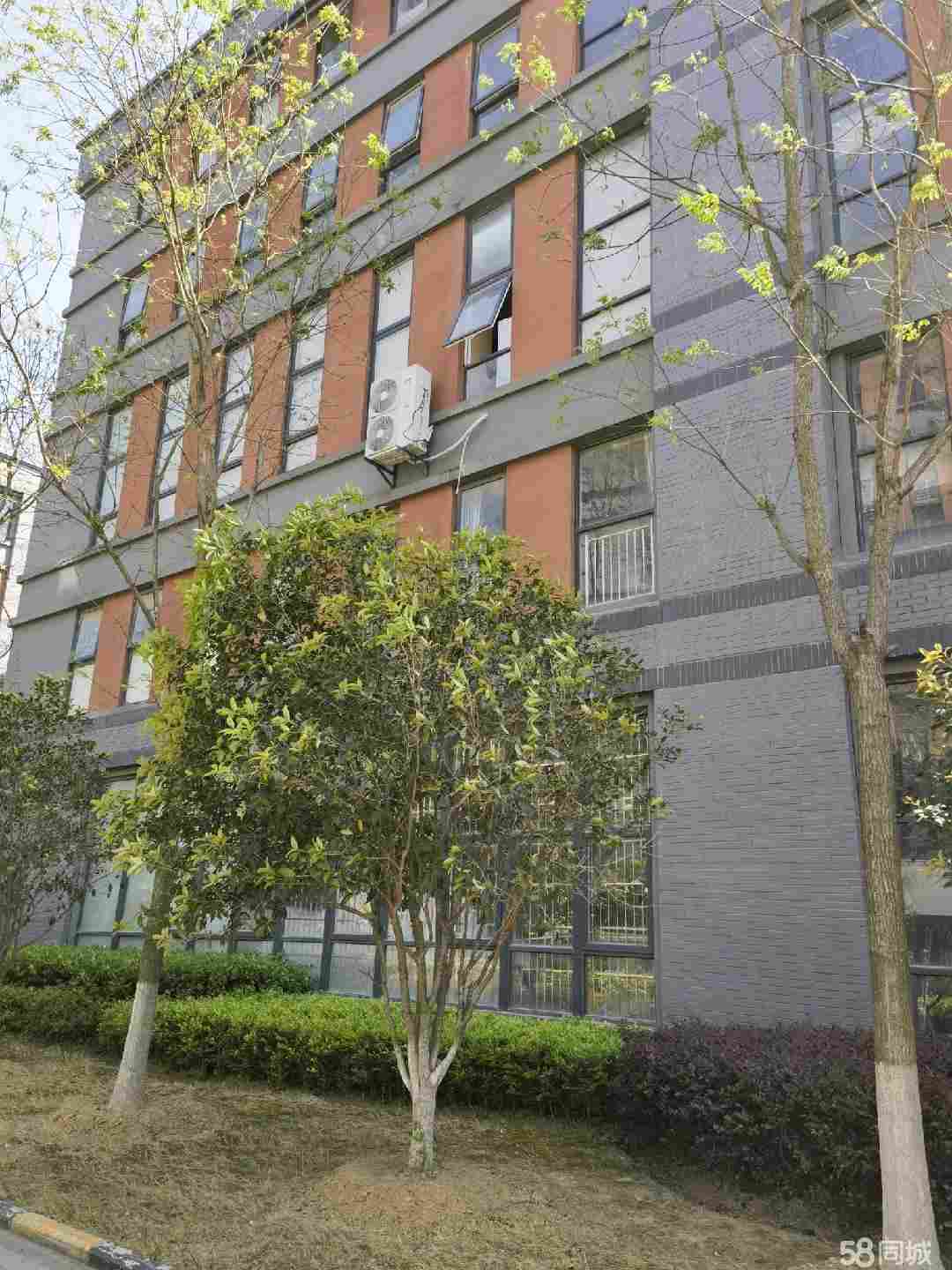 合肥（独门独户厂房直租）长丰长丰周边厂房仓库土地600平厂房出租单层通勤便利