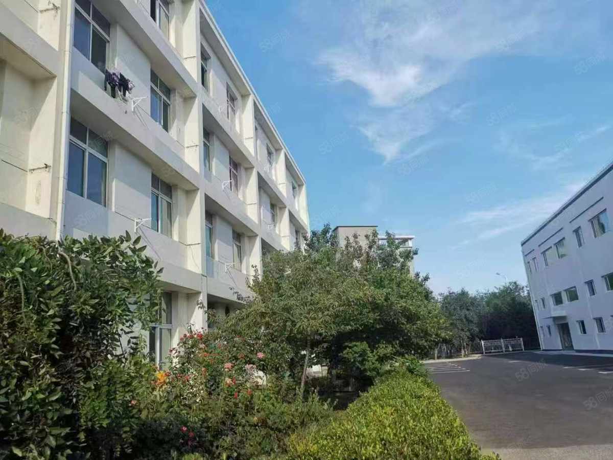 【优质】大连开发区双D港员工公寓 综合楼开发区双D港厂房5400平厂房出租多层
