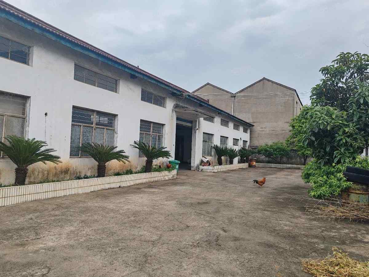 【优质】宁波低塘独门独院带办公住人400平方余姚低塘厂房出租单层