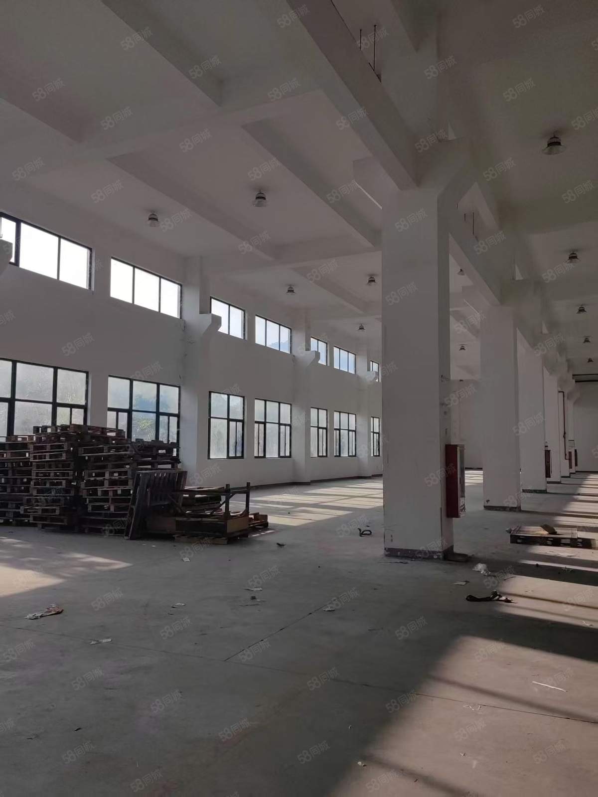 【推荐】宁波厂房（房东直租）无中介费北仑春晓厂房仓库土地10000平厂房出租多层