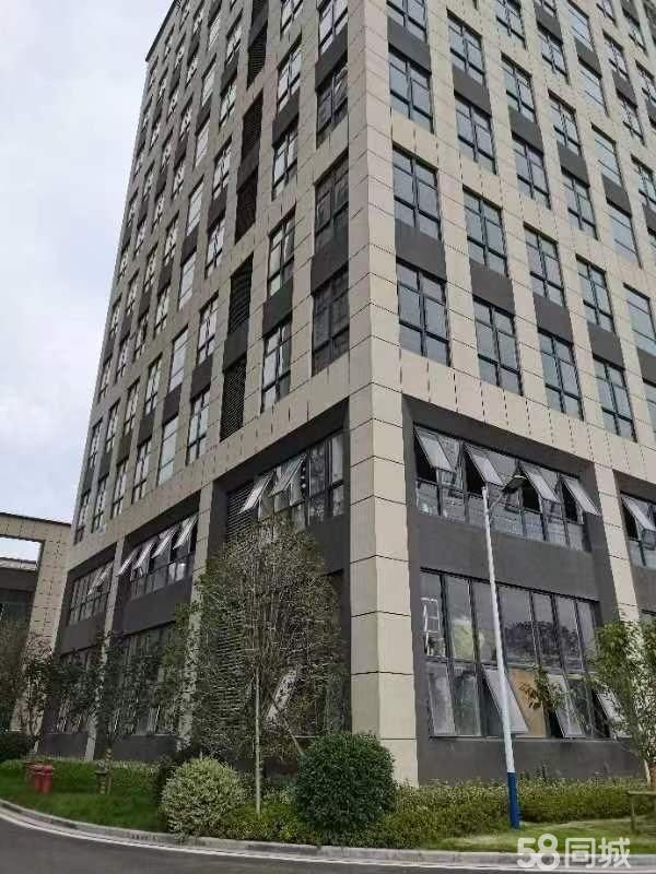 宁波个人房东直租 非中介可可2453平厂房出售单层，慈溪高新区全新厂房出租