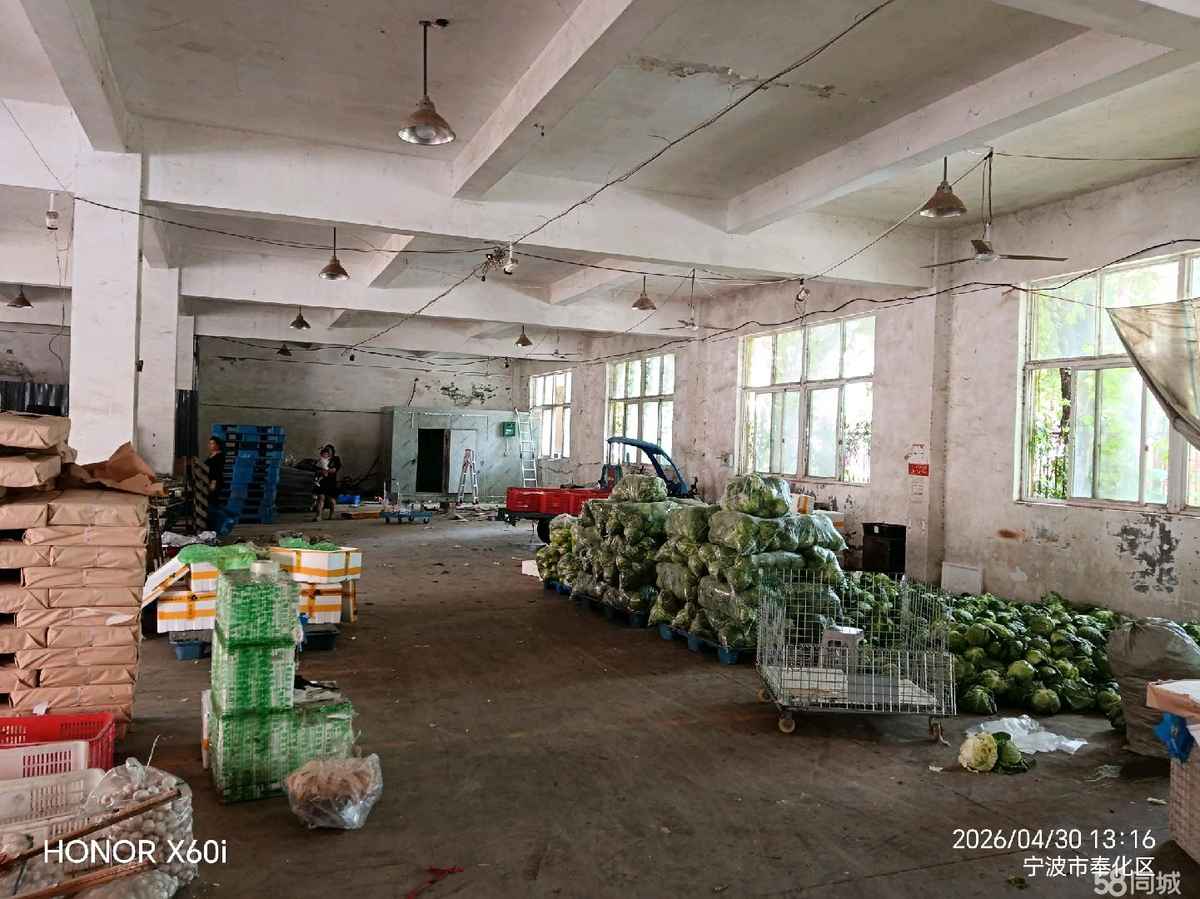【优质】宁波个人房源仓库标品仓储奉化方桥厂房仓库土地车位120平厂房出租多层