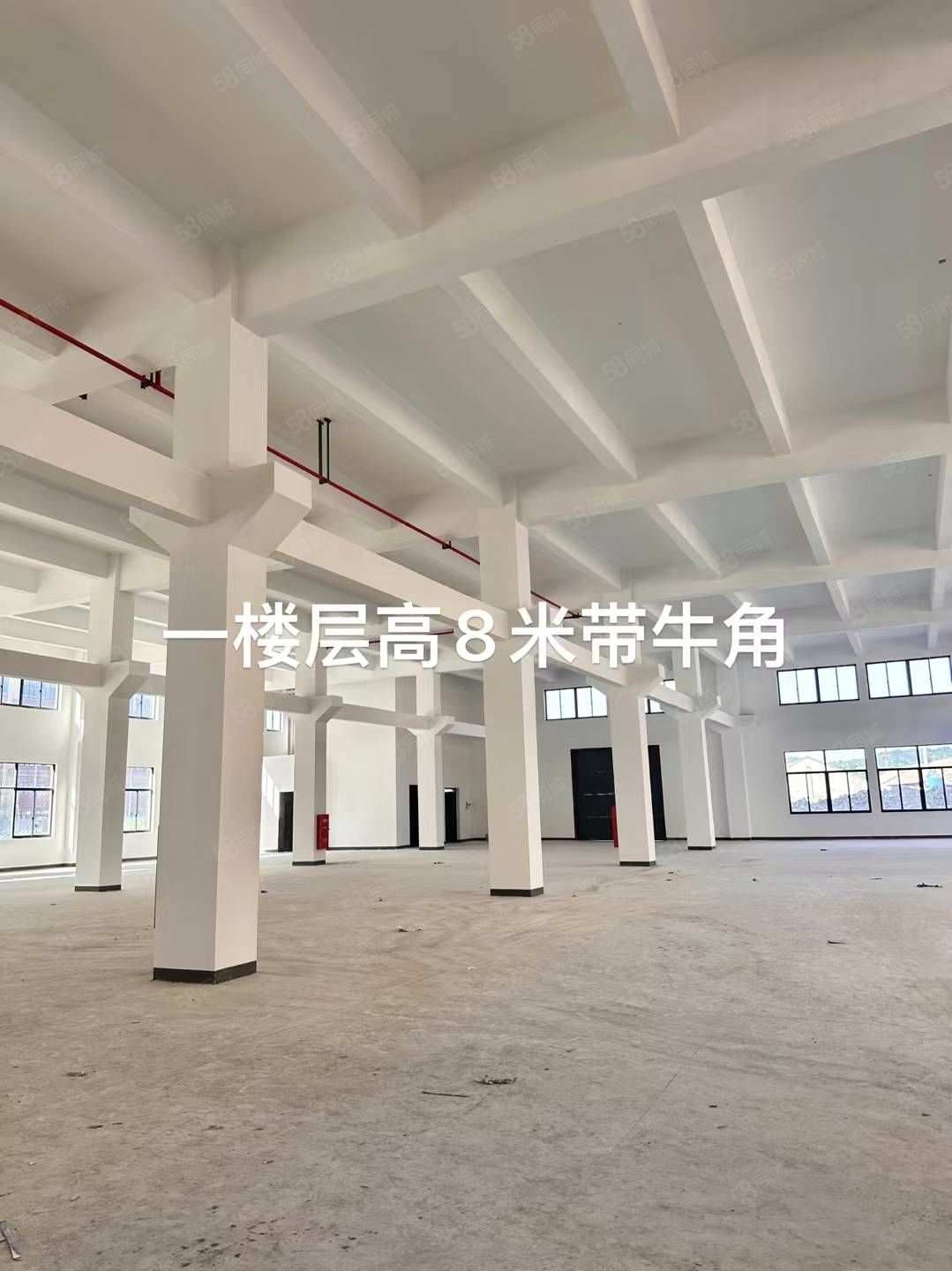 厂房实景