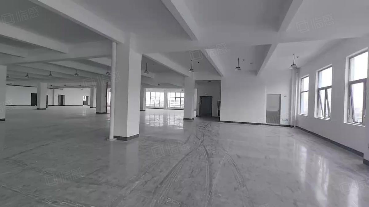 面积灵活镇海庄市厂房仓库土地2000平厂房出租单层，宁波新示范区厂房对外