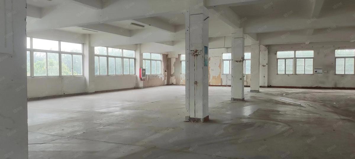 厂房实景