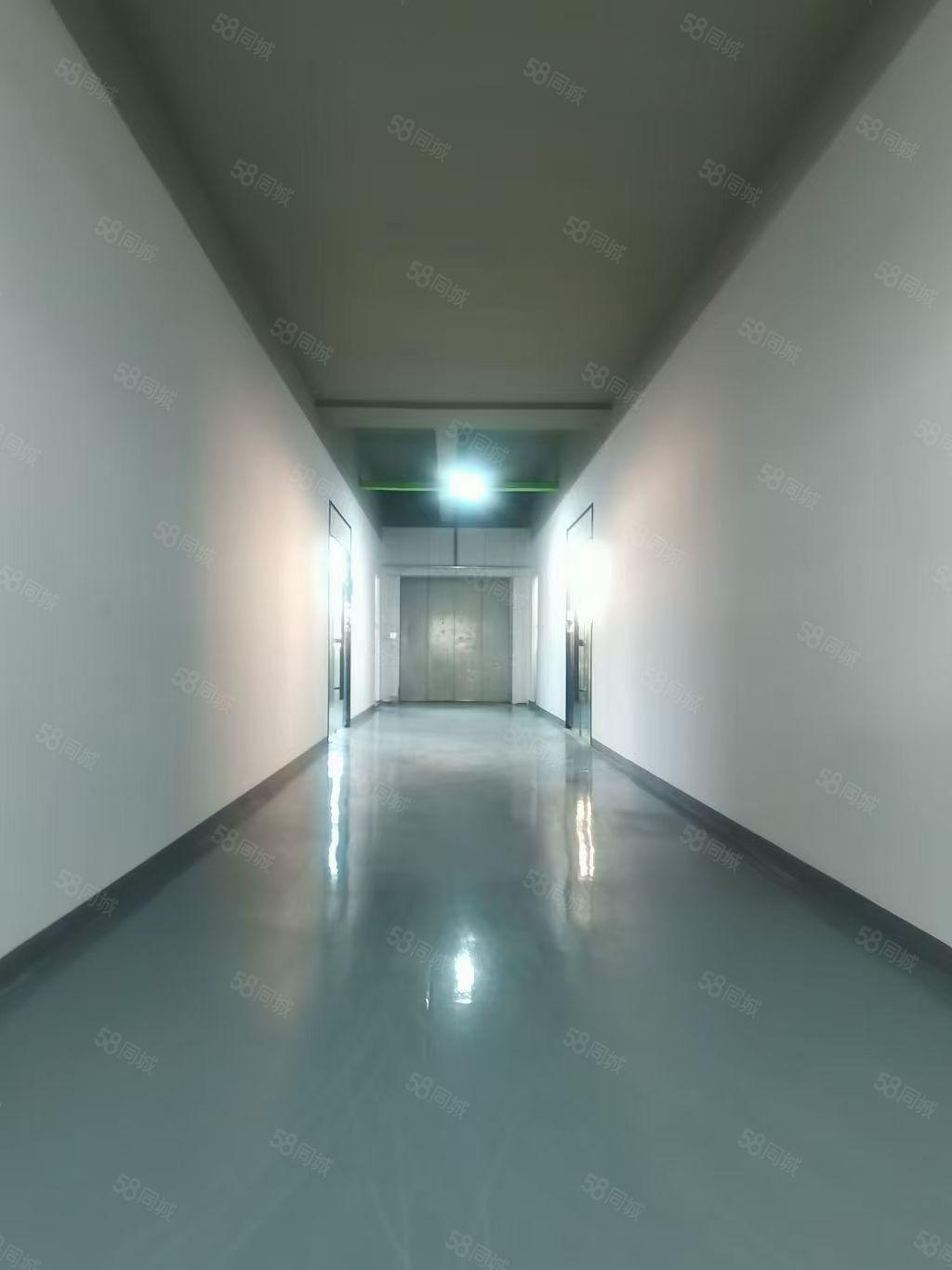 厂房实景