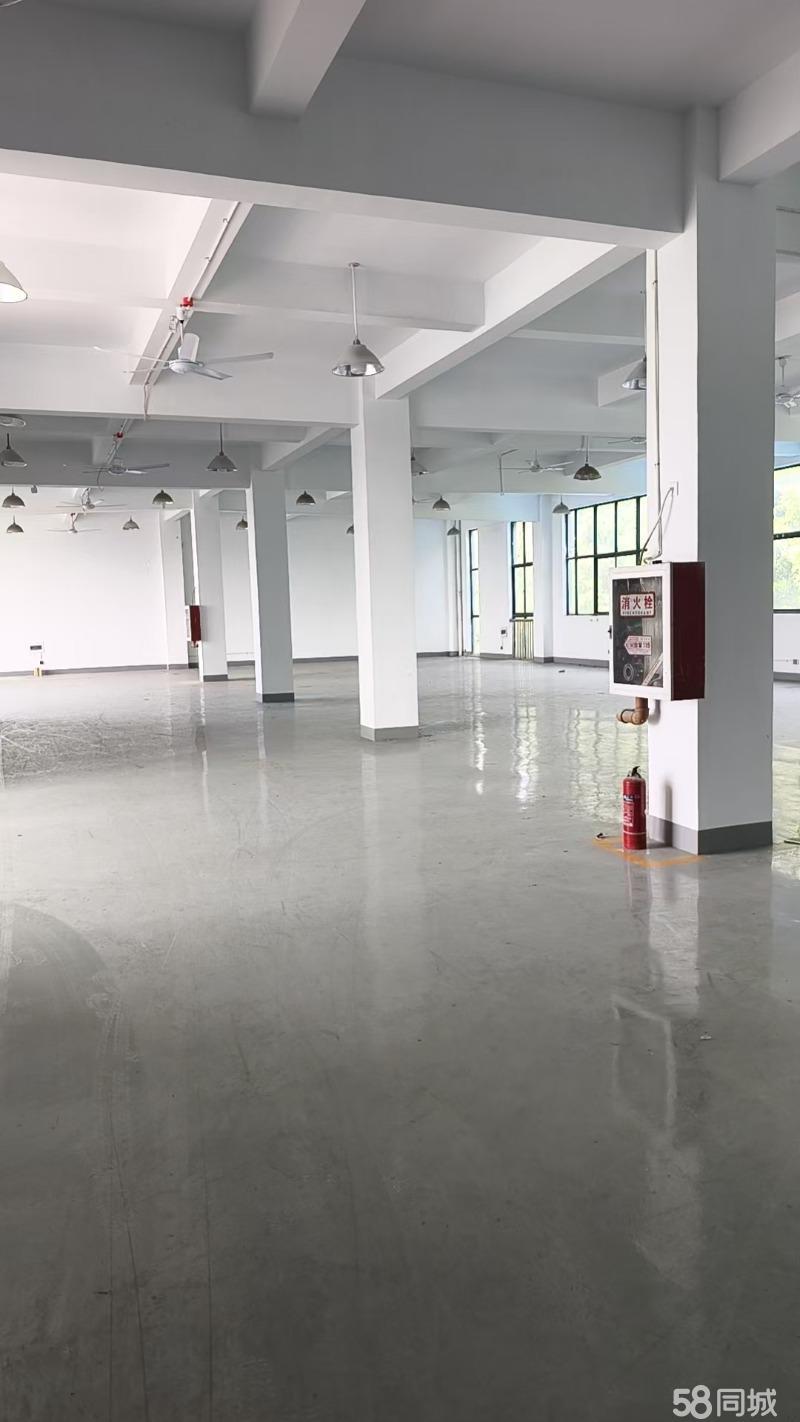 厂房实景
