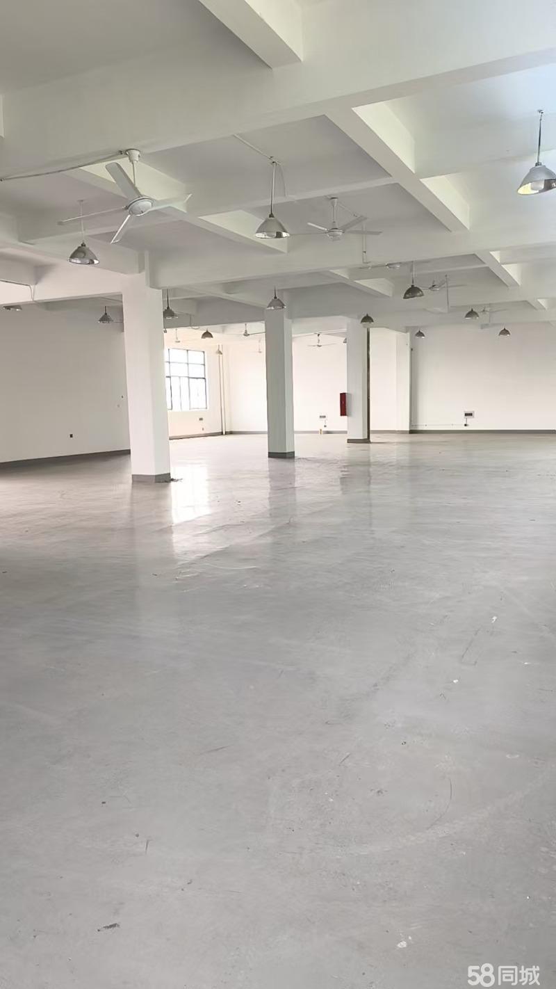厂房实景