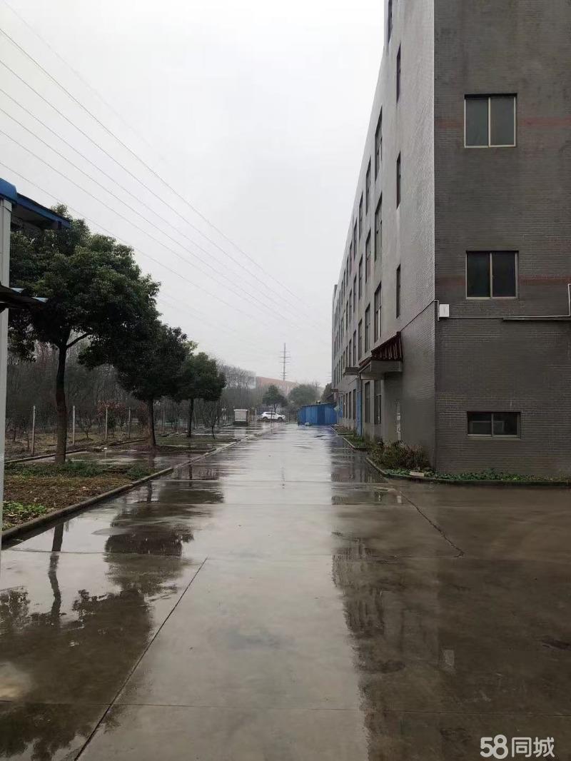 厂房实景