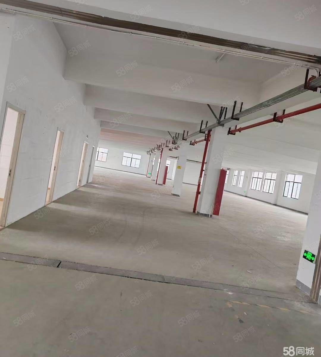 邹区灯具城旁三楼厂房钟楼邹区厂房仓1260平厂房出租多层，常州房东直租