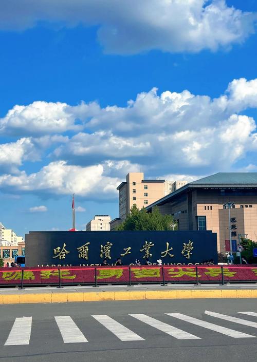 哈工大经济港实景