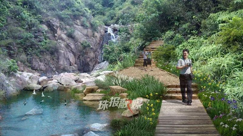 红花山森林公园登山步道与观景平台实景