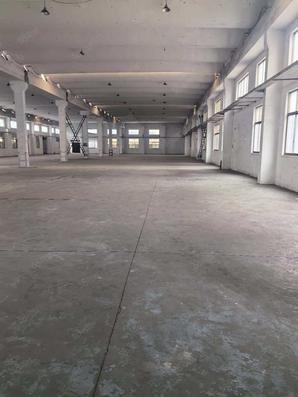 【推荐】常州单门独院4300平标准厂房新北奔牛厂房仓库土厂房出租独门独院