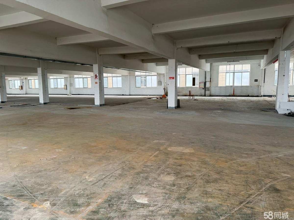 上海个人，先到先得，价格美丽，没有中介商赚差价无3300平厂房出租单层通勤便利