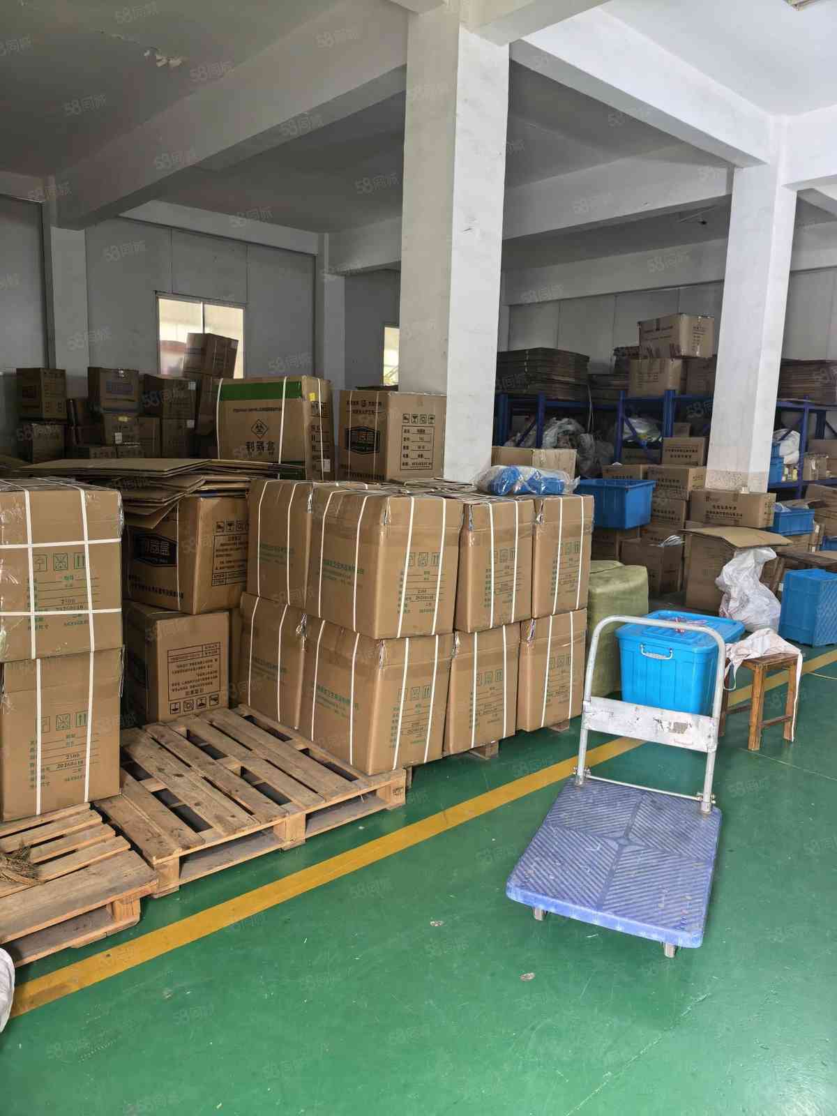 【优质】上海申港镇 一楼430方 200方 环氧地面 大厂房出租单层主干道
