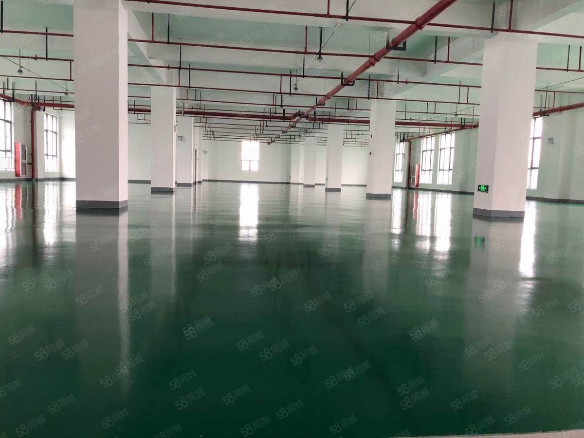 上海皮革城旁边新出500平方二楼厂房，位厂房出租单层场地大，形象好