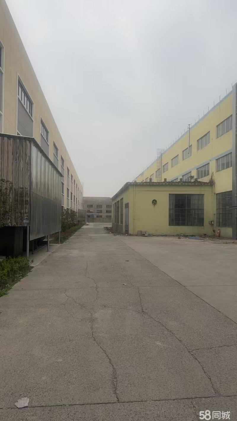 厂房实景