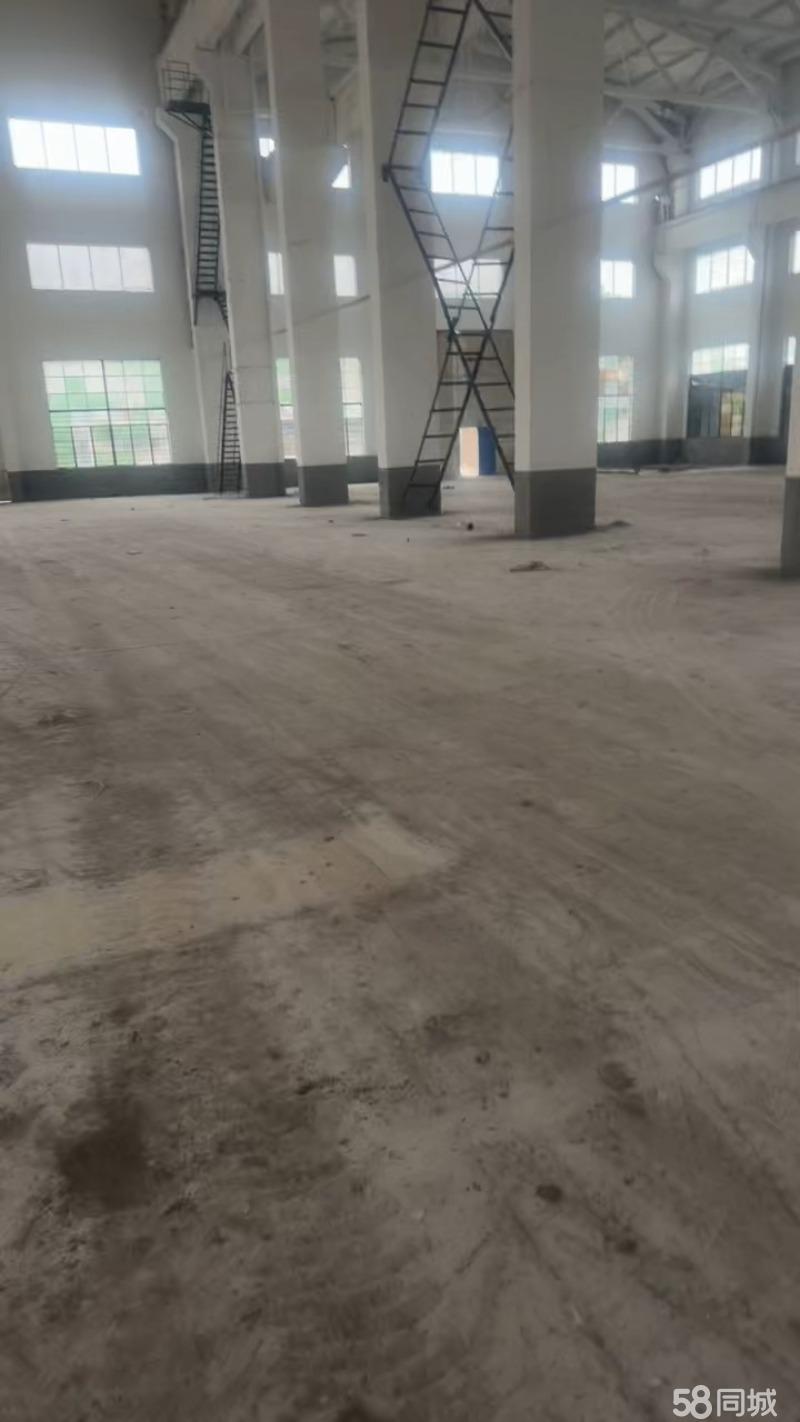 【推荐】上海12000㎡ 超高厂房+6000kVA专变+厂房出租独门独院单层