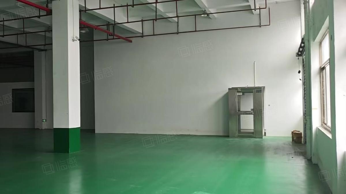 杭州河庄一楼2200方可分租净高7米无税收要求大厂房出租独门独院多层